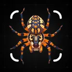 Spider Identifier - Insect ID icon