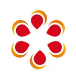 华中九通商城 icon