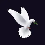 Bible AI: Faith and Feelings icon