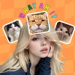 What Am I - Funny Filters icon