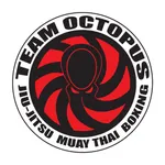 Team Octopus icon