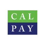 California Payroll icon