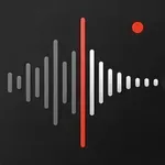 录音机：语音备忘录 icon