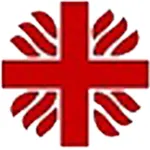 CaritasPay icon