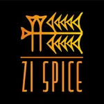 Zi Spice icon