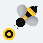 PIP Installation Assistant icon