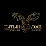 Сытый Лось МП icon