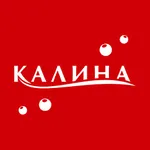 Калина icon