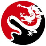 Impact Martial Arts icon