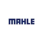 Mahle Dostanna icon