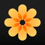 Cheese: Photo Timer Camera icon