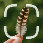 Identifier: Feather icon