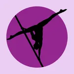 Beginner Pole Lessons icon
