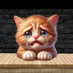 Cat Meow Meme Vault icon