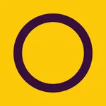 NEM BI Snapshot icon