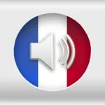 Learn French Words Flashcards icon