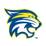DCA Wildcats icon