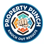 Property Punch icon