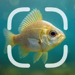 Identifier: Fish icon