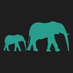 Bet Balance icon