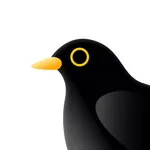 Time Capsule - Bird Diary icon