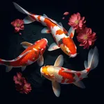 Fish Tank Wallpaper icon
