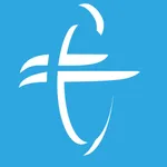 田小飞(飞手版) icon