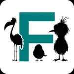 Flock: The App icon