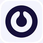 ION EV Charging icon