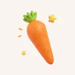 蔬菜英语：学习英语单词入门闪卡 icon