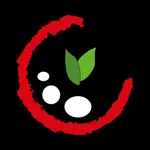 Pizzeria Da Teo & Dany icon