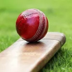 Quick Cricket Stats - AI Teams icon