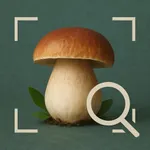 Mushroom Picture Identifier icon