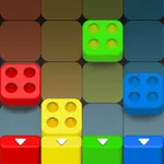 Wood Block Puzzle: Color Match icon