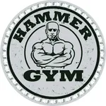 Hammer Gym Uttara icon