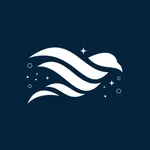 الرذاذ الطائر icon