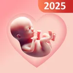 Pregnancy Tracker - Calculator icon