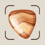 Rock Identifier: Stone Checker icon