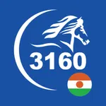 Le3160 Niger icon