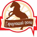 Гарцующий пони icon