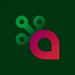 Fresh KDS On The Fly icon