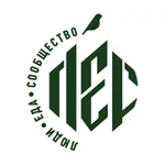 Лес - уличная еда на гриле icon