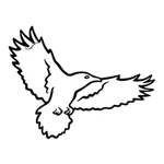 Krähenjagd icon