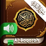 Surah Al Baqarah MP3 Offline icon