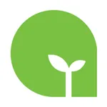 السبع انترناشيونال icon