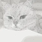 ColorCrafter: Paint by Numbers icon