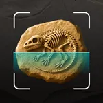 Fossil Identifier Artifact ID icon