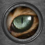 Brighten View :Cat'sEye Camera icon