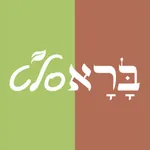 ברא סלט icon