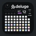 Deluge Display icon